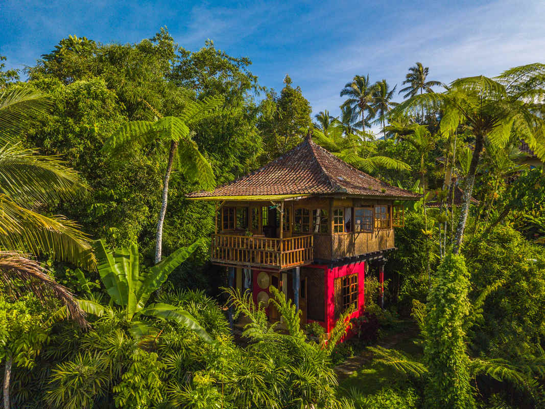 Birding Lodges of the World: Sarinbuana Eco Lodge, Bali, Indonesia
