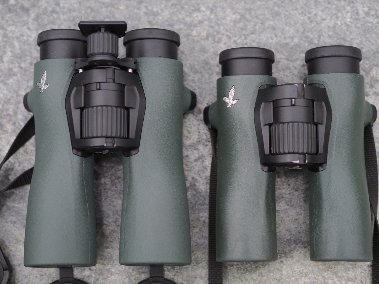Bigger magnification: better birding?