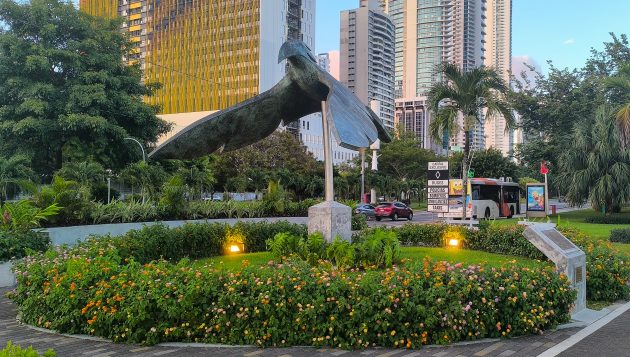 Is Urban Birding the Future of Bird Conservation?