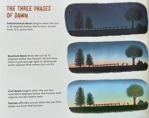 A page titled "the three phases of dawn" with three illustrations of the same landscape: one in the near blackness of astronomical dawn, one with a rosy sunrise in the nautical dawn, and one where animals can just be distinguished in the civil dawn. 