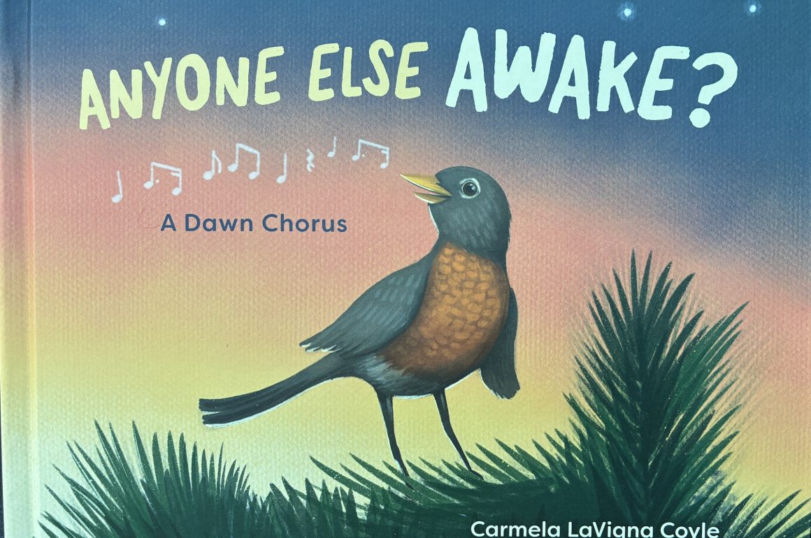 A robin in a pine tree, singing, with the book title "ANYONE ELSE AWAKE" above the robin.