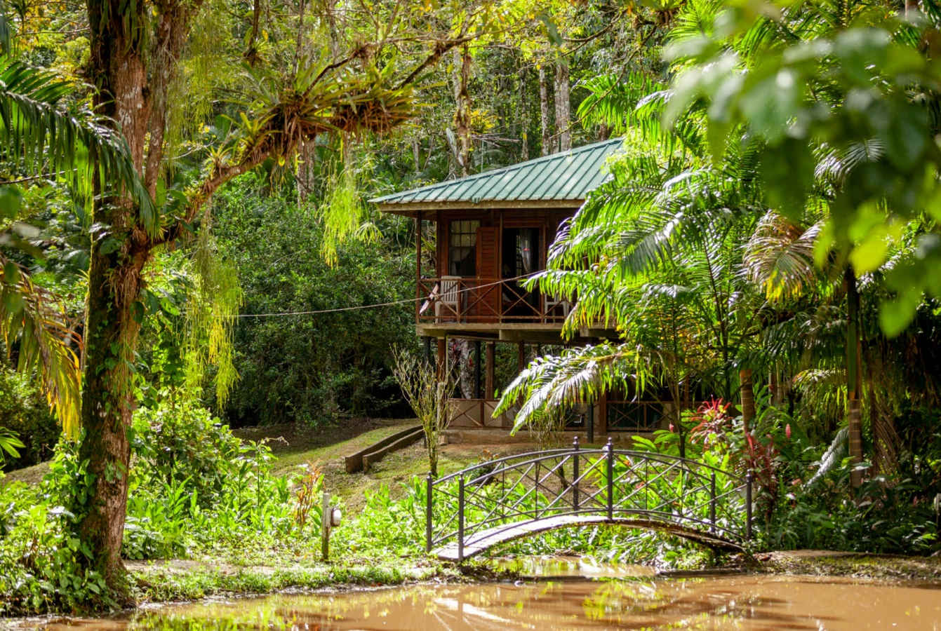 Birding Lodges of the World: Hacienda Jacana, Trinidad
