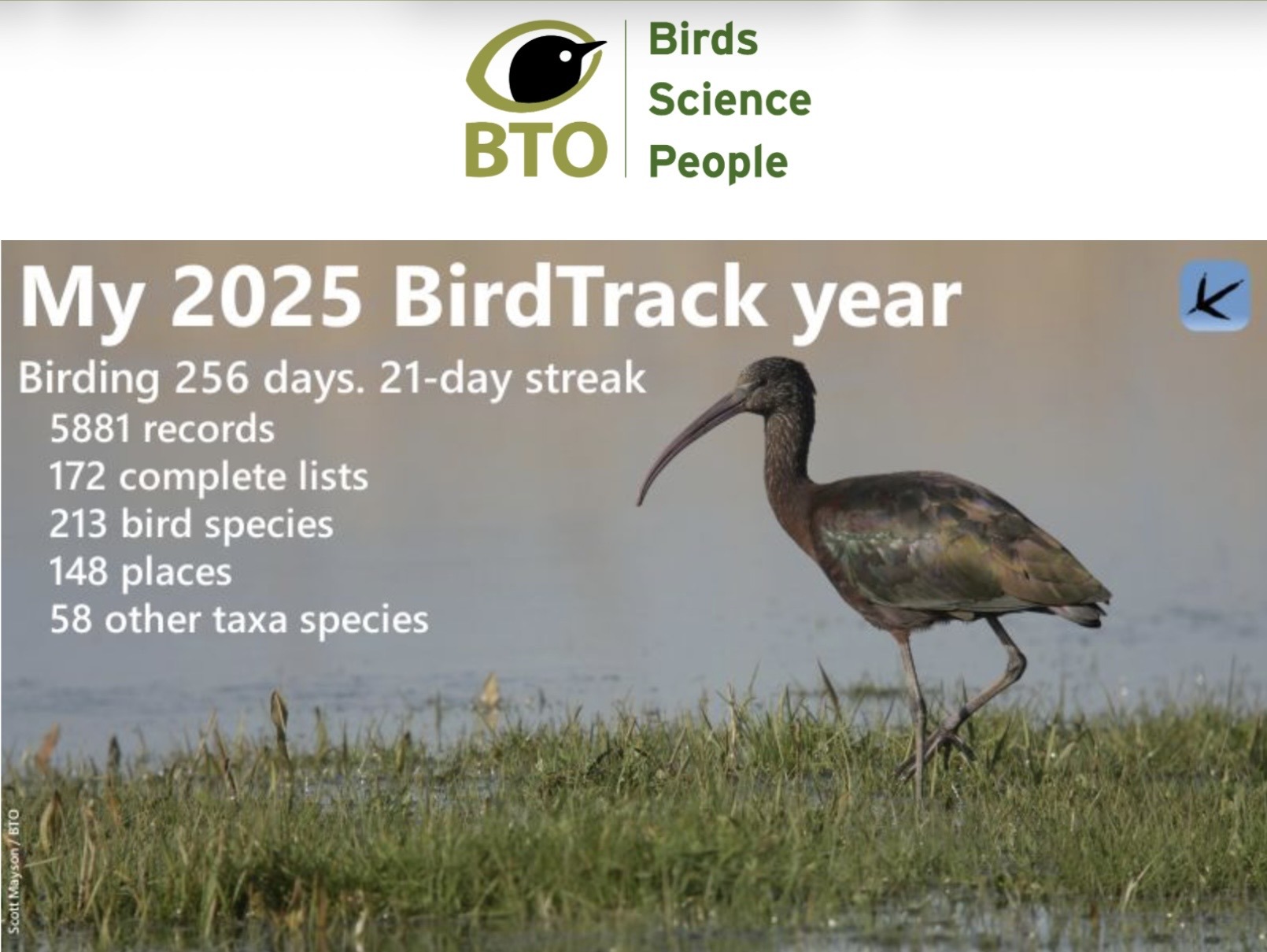 2025: My BirdTrack year