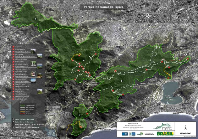 Parque Nacional da Tijuca, Rio de Janeiro, Brazil – Profile for Birders