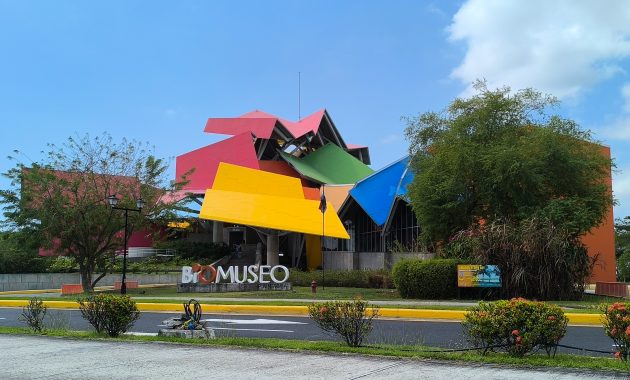 Birding the Biomuseo, Panamá