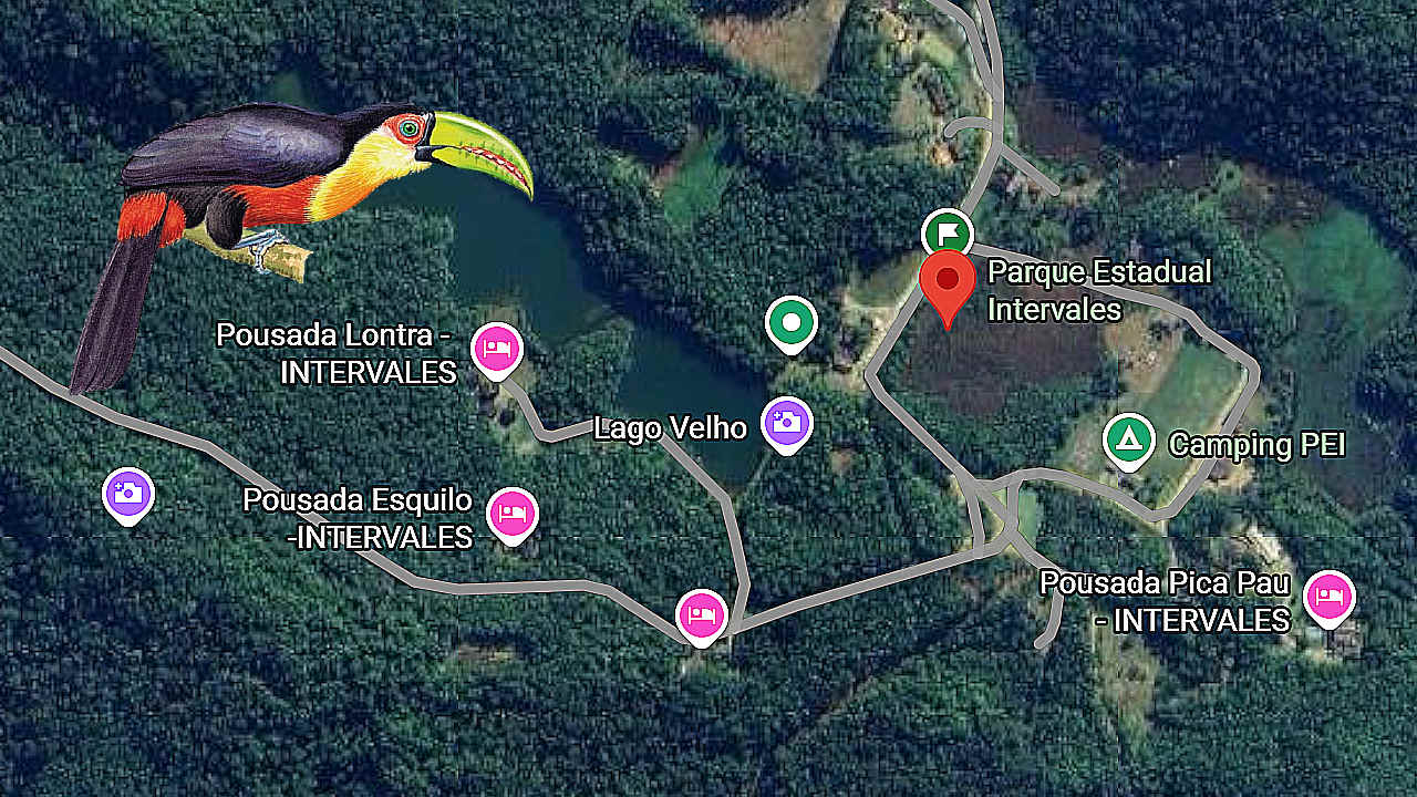 Intervales State Park, Ribeirão Grande, Brazil – Profile for Birders