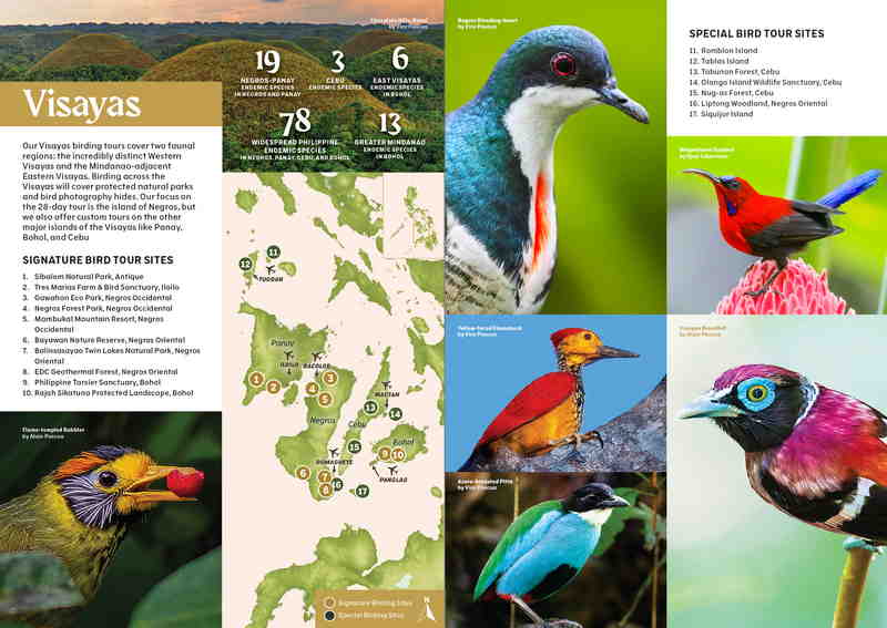 philippines-profile-for-birders-10-000-birds