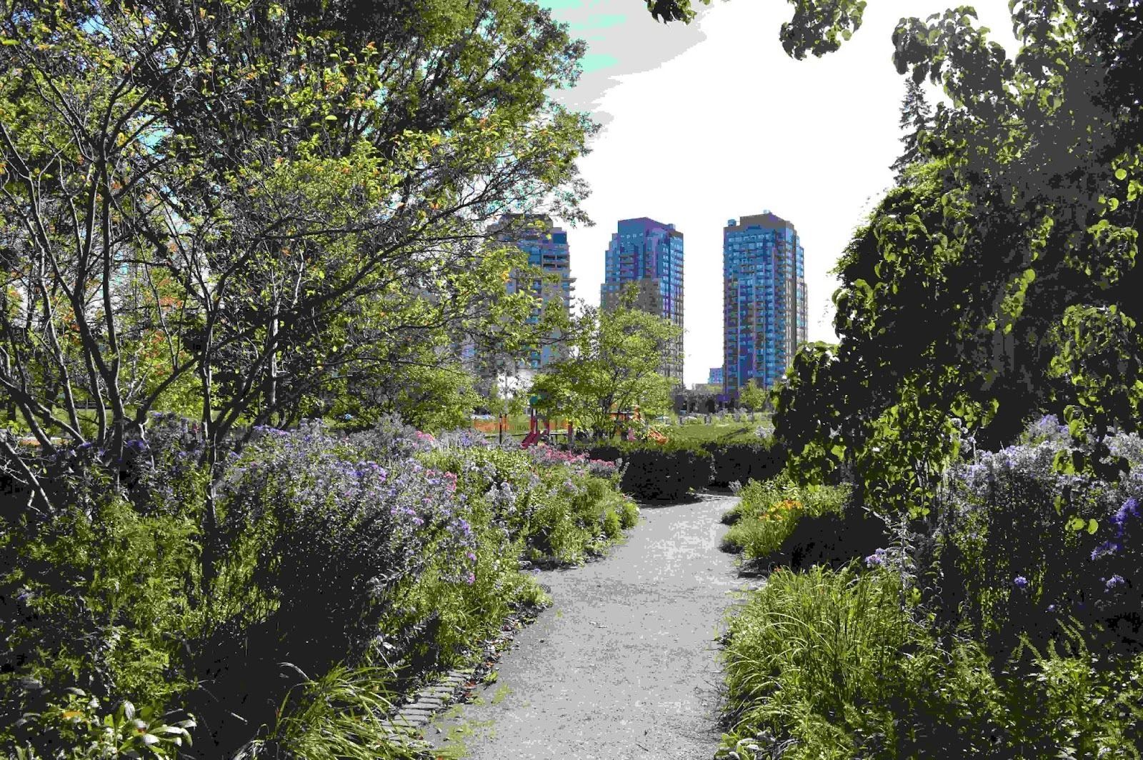 Transitional Green Paths Urban Green Corridors: How Cities Are Creating Bird-Friendly Pathways ...