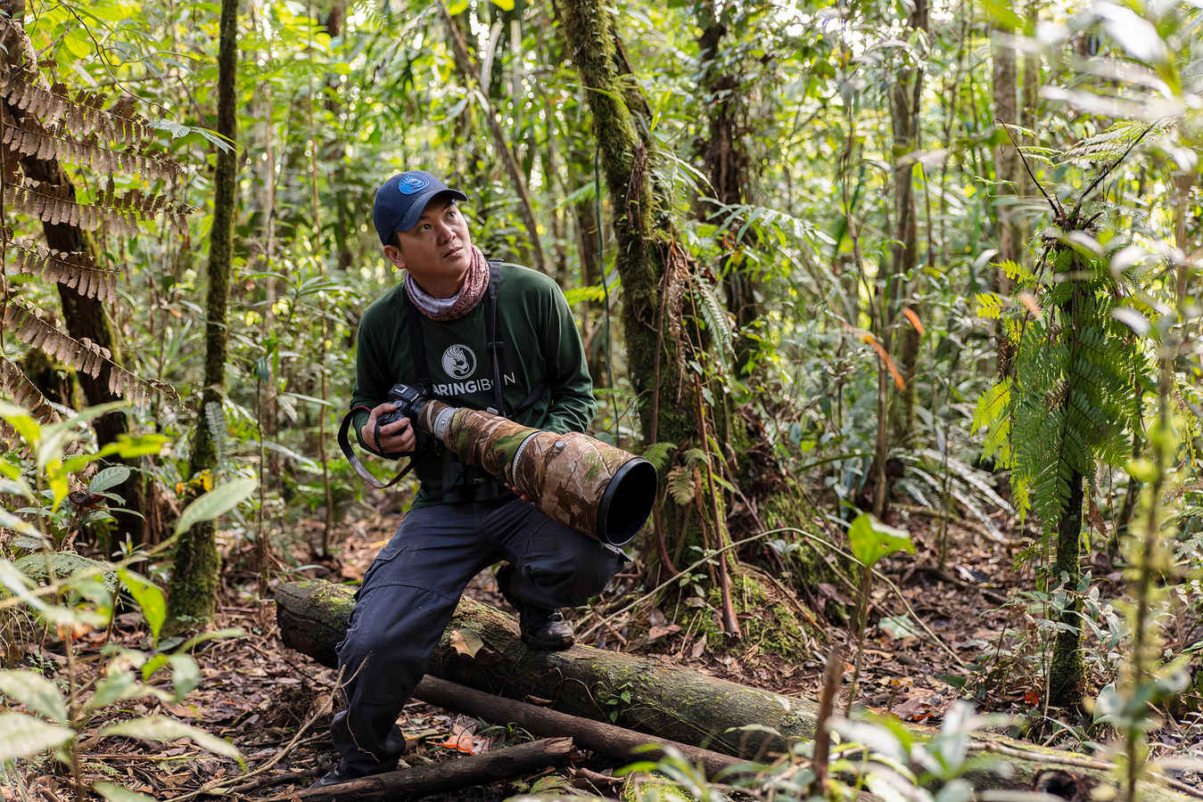 Bird Guides of the World: Djop Tabaranza, Philippines