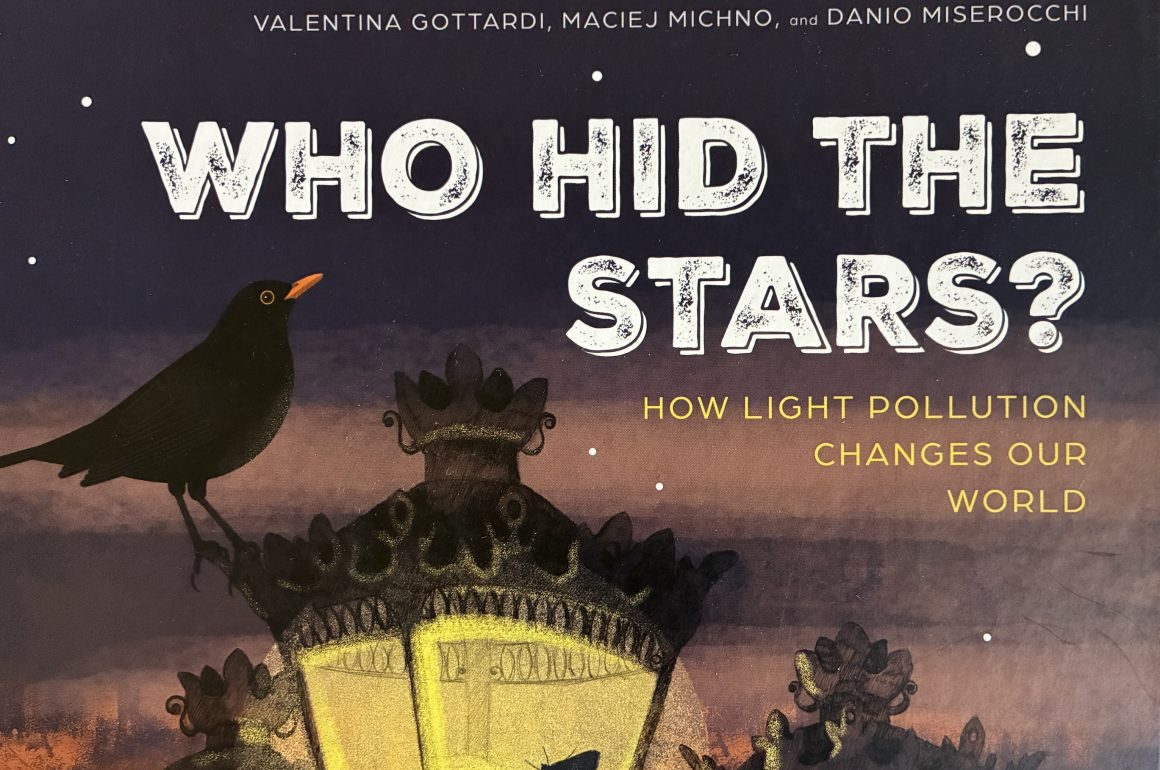 Cover detail from WHO HID THE STARS? HOW LIGHT POLLUTION CHANGES THE WORLD