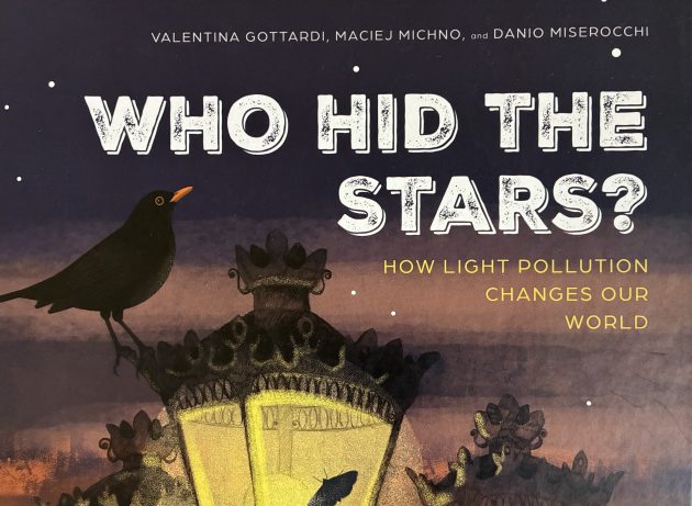 Who Hid the Stars? A KidLit Bird Book Review