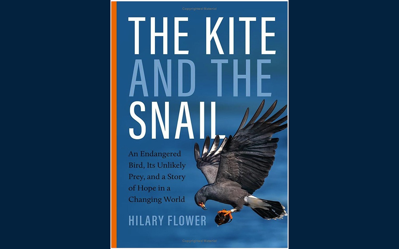 The Kite and the Snail: A Book Review