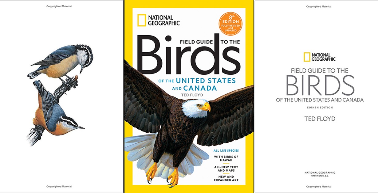 National Geographic Field Guide to the Birds of the United States and Canada: A Field Guide Review