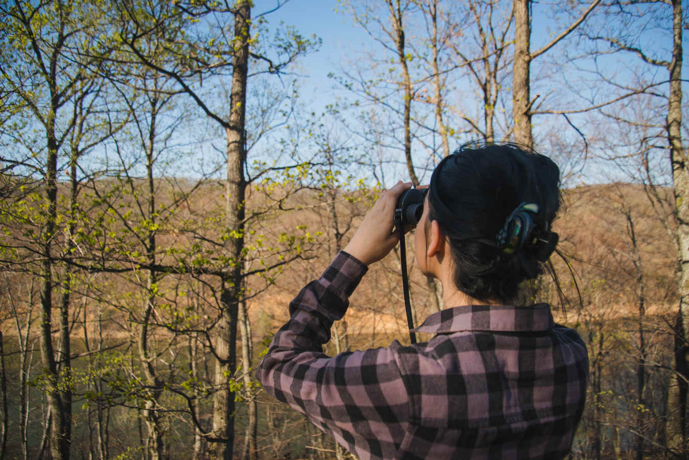 Three Great Indie/Alternative Birdwatching Songs