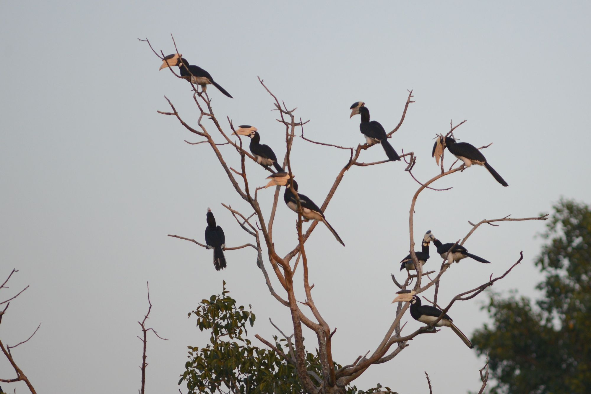 Wetlands and Woodlands in Wilpattu National Park, Sri Lanka