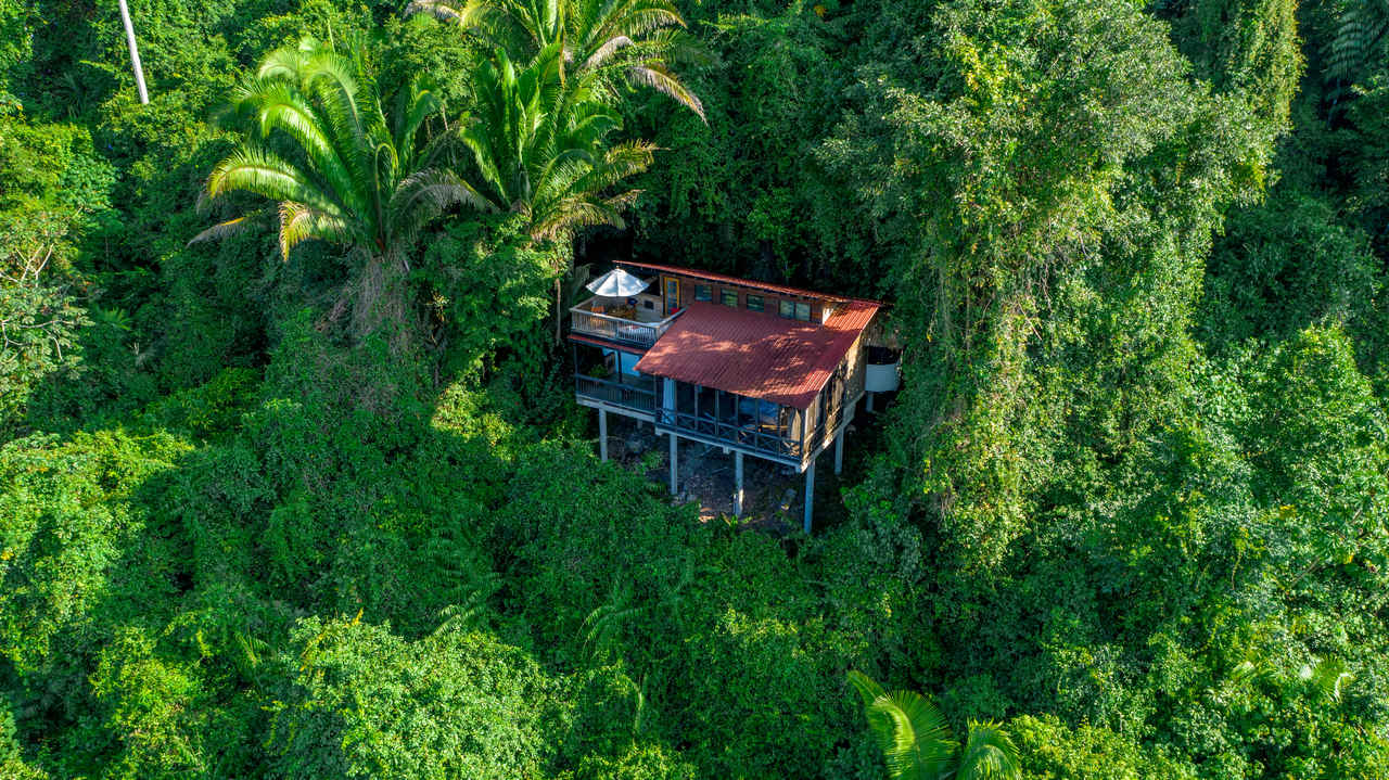 Birding Lodges of the World: Ian Anderson’s Caves Branch, Belize