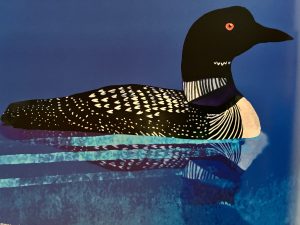 Illustration of a black and white loon against blue sky and water.