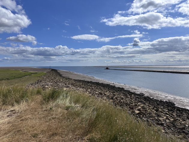 Birding highs in High Summer