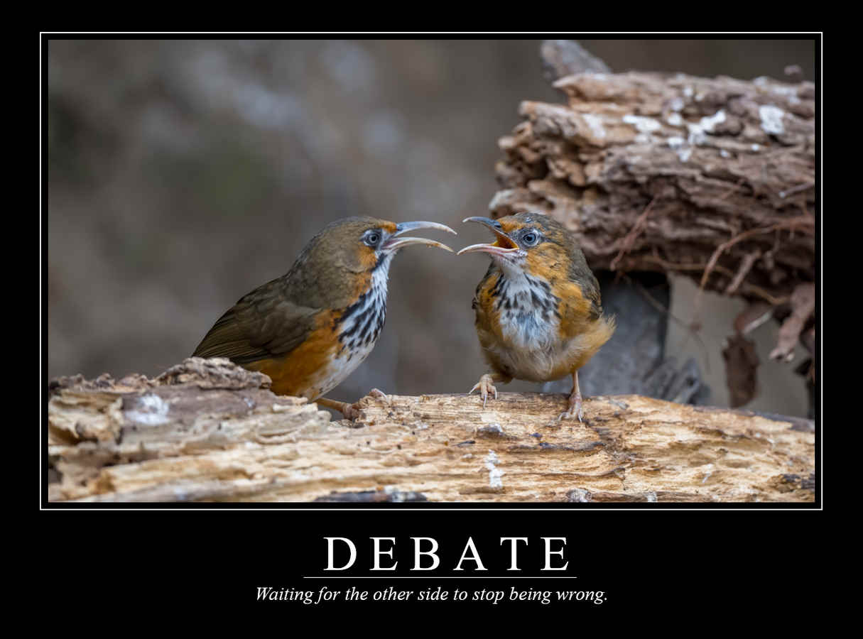Demotivational Posters for Birds (XLV)
