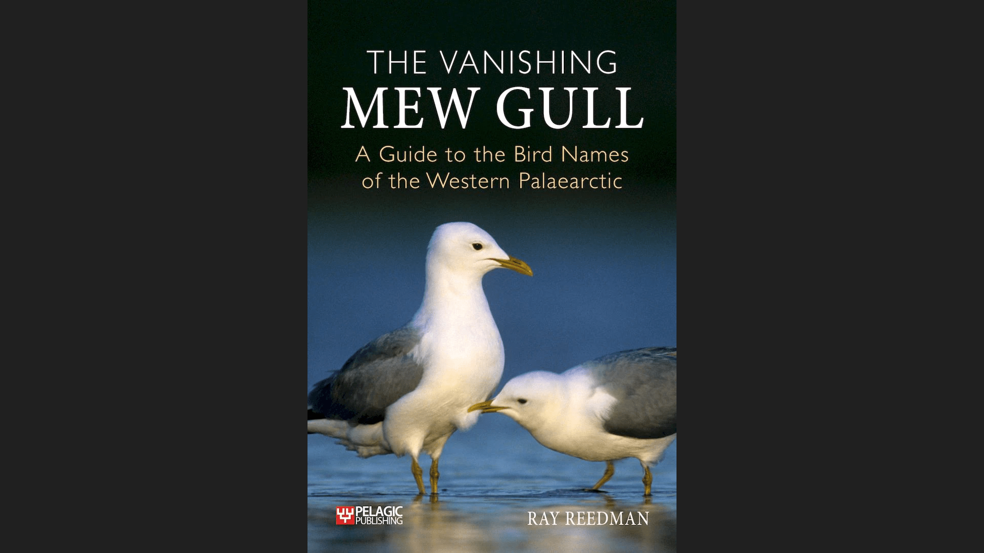 The Vanishing Mew Gull: A Guide to the Bird Names of the Western Palaearctic