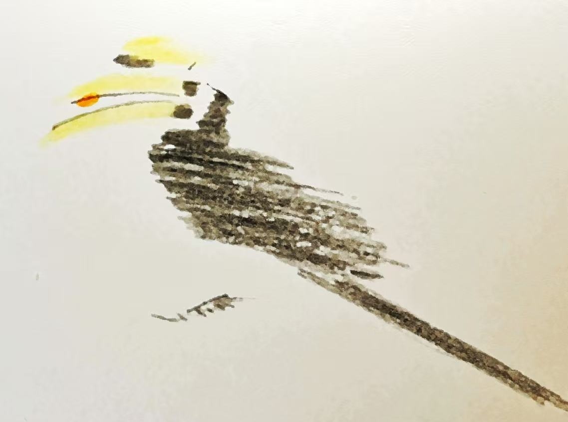 Three Photos: Abstract Birds