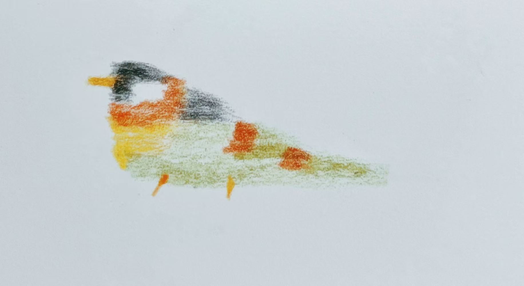 Three Photos: Abstract Birds (Part 2)
