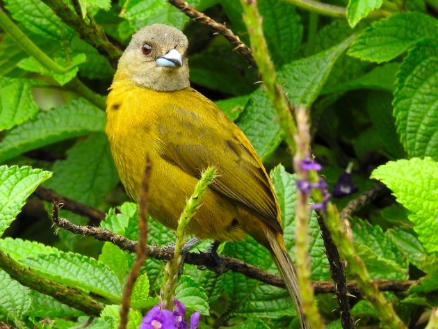 Costa Rica: Worthwhile or Worthless?