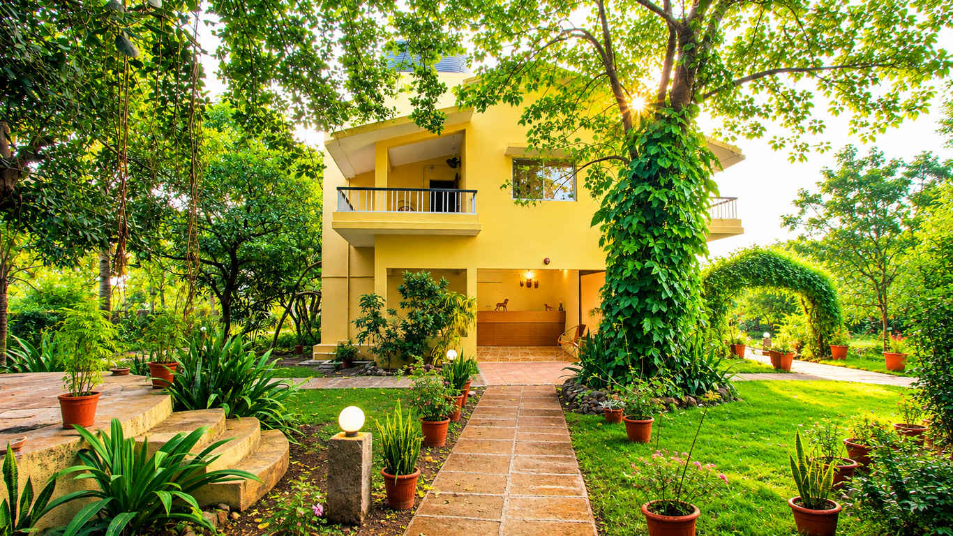 Birding Lodge of the World: Gir Birding Lodge, India