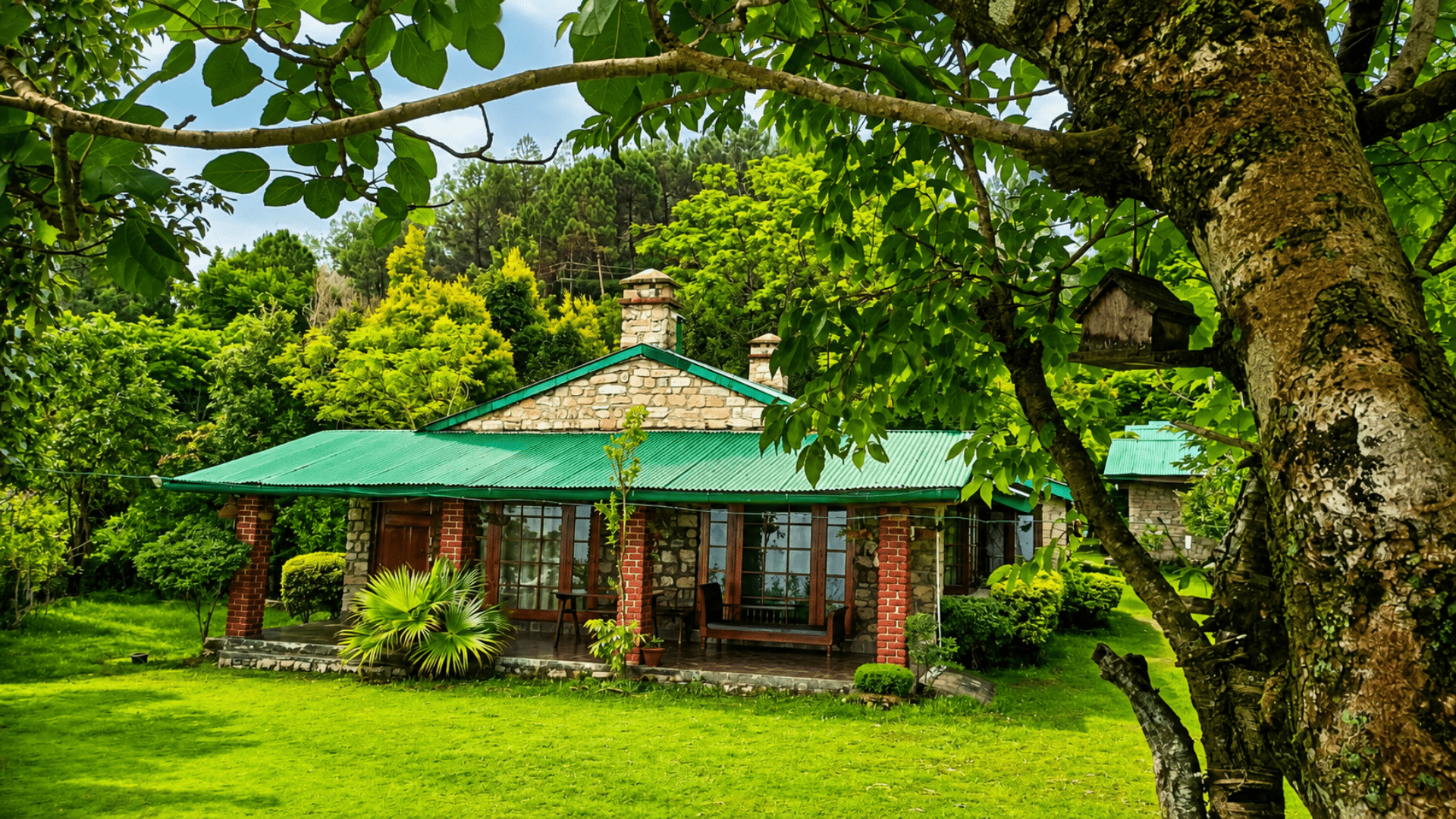 Birding Lodges of the World: Renz Himalayan Retreat