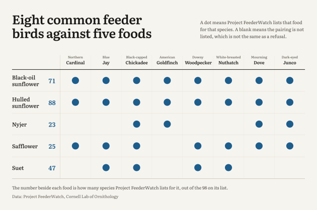 Which birds eat what at feeders?
