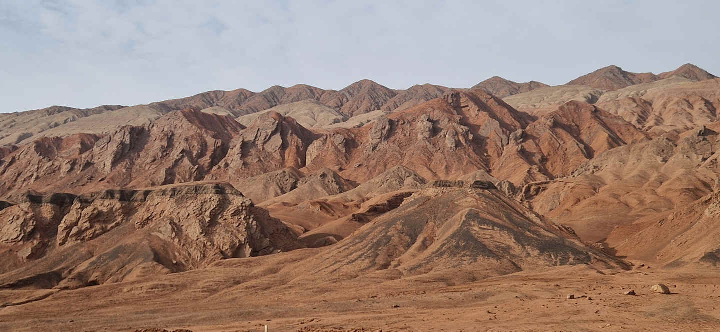 Boring Birds of Xinjiang