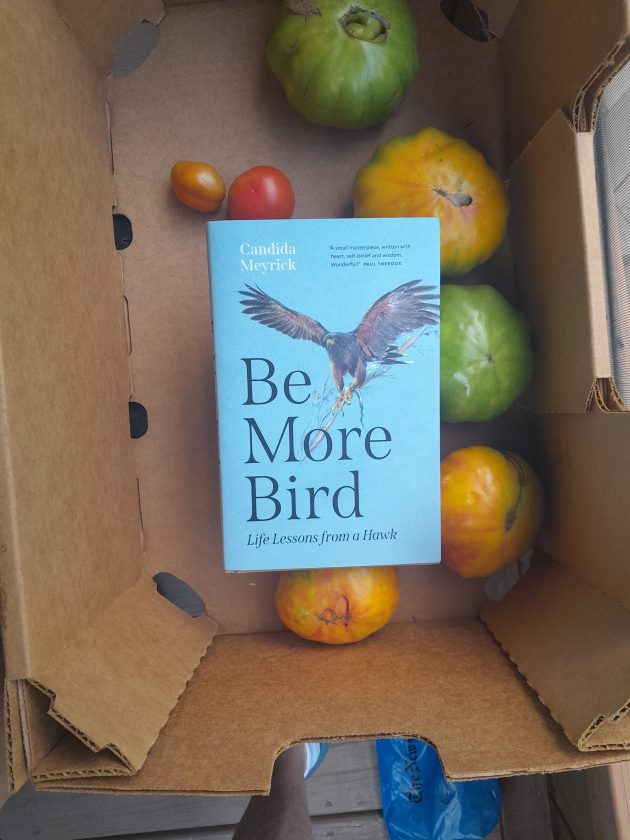 Be More Bird: a book review