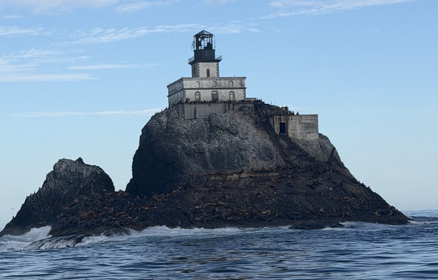 Shearwaters and Terrible Tilly in Oregon