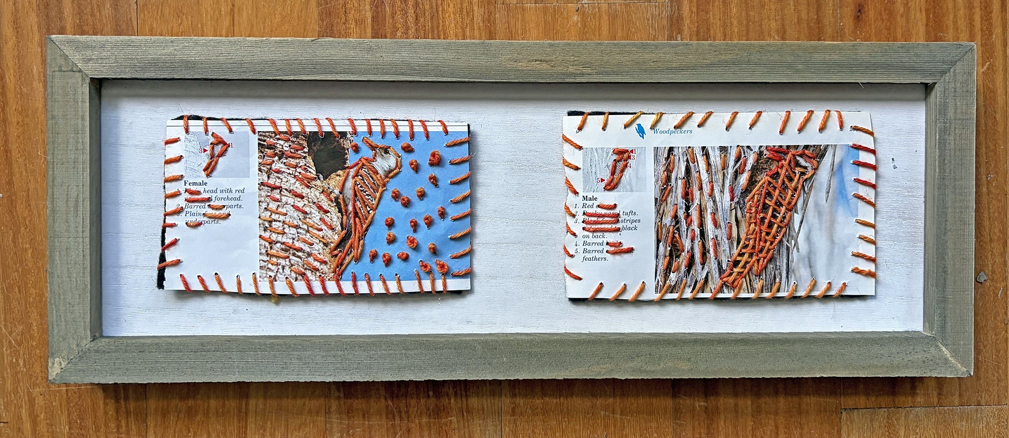 Turning Field Guides into Works of Art