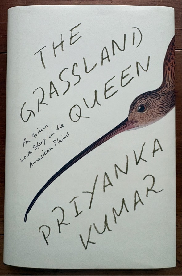 The Grassland Queen