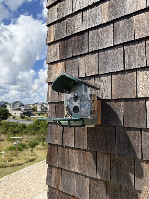 Kiwibit Smart Birdfeeder is Brilliant