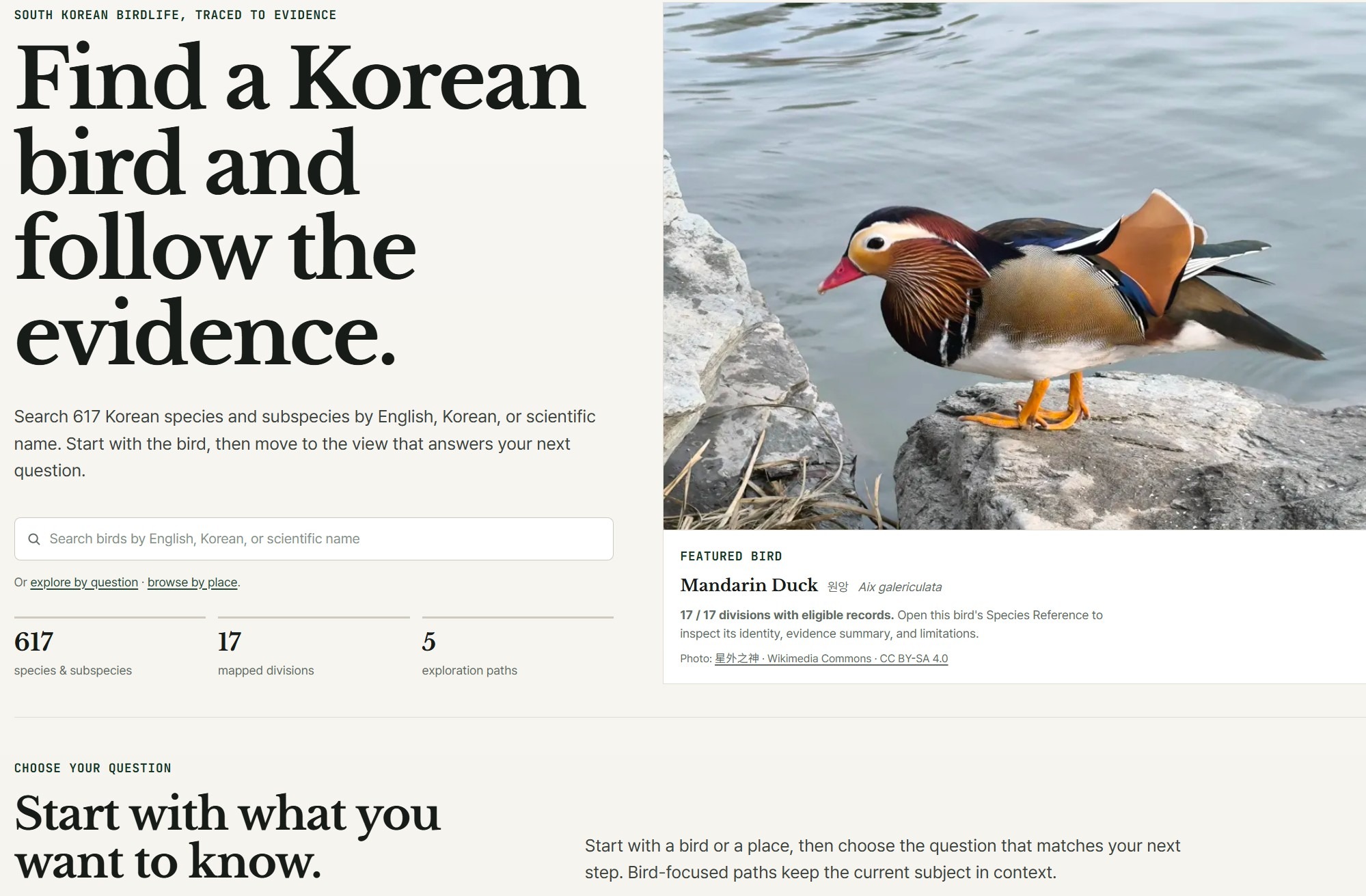 The Bird Photo I Could Use Was Not The Bird Photo I Wanted