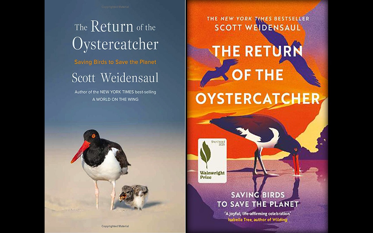 The Return of the Oystercatcher: A Book Conservation Review
