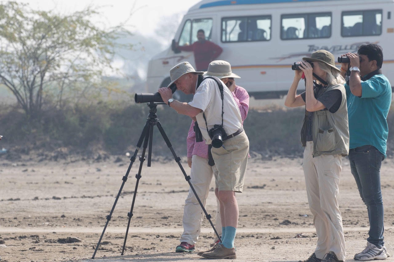 On Becoming a Bird Guide