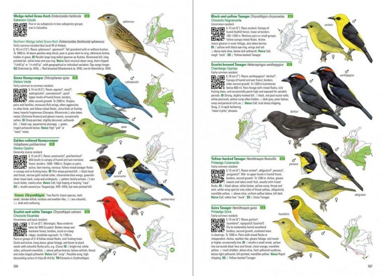 Hilty’s Birds of Colombia field guide review 10,000 Birds