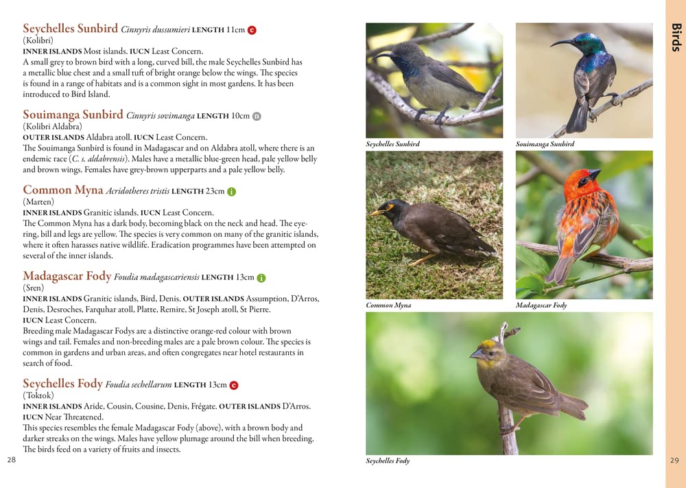 a-photographic-guide-to-the-wildlife-of-seychelles-by-chris-mason