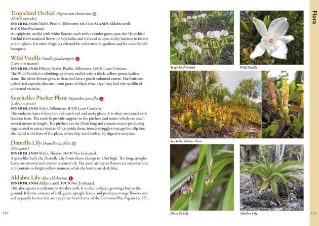 Animalstuffstore 71prQrbXrRL-630x448 A Photographic Information to the Wildlife of Seychelles by Chris Mason-Parker – 10,000 Birds Bird  
