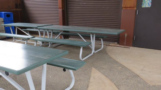 Detail of tables at picnic area showing one table with extended top suitable for wheelchair users.
