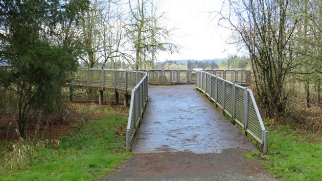 Entrance to Wetlands Overlook showing concrete ramp with gentle slope and grey mesh fencing, with wetlands and trees along overlook and in distance.