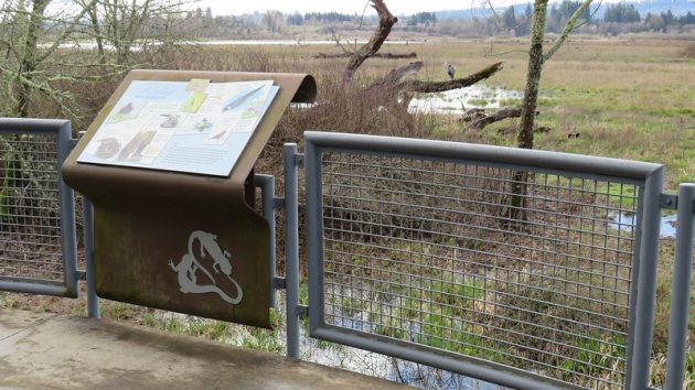 Interpretive sign and grey mesh fence at Wetlands Overlook, with logs and trees in distance with Great Blue Heron on one log.