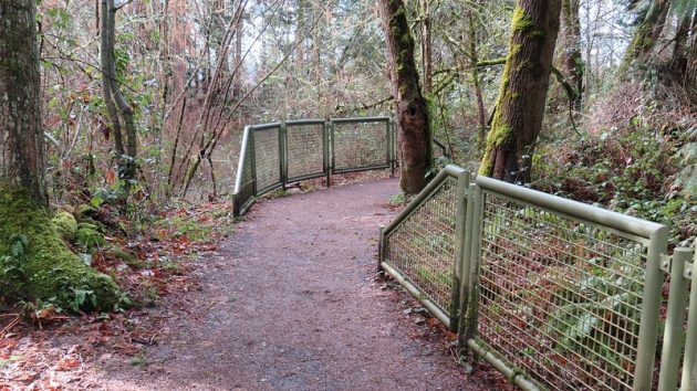 Trail through woodlands with mesh fencing and trees, shrubs, and ferns along the trail.