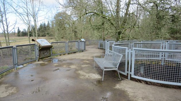 Concrete walkway, bench, interpretive sign, and grey mesh fencing at Wetlands Overlook, with wetlands and trees in the distance.