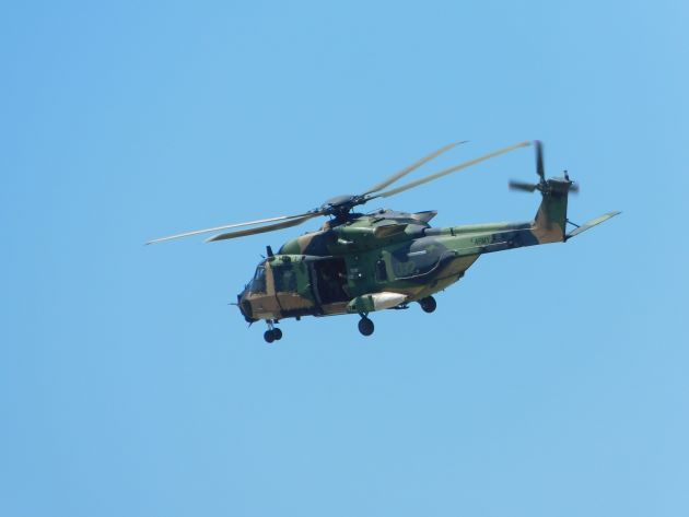 Animalstuffstore Army-helicopter Broome Surf Membership to Gantheaume Level – 10,000 Birds Bird  