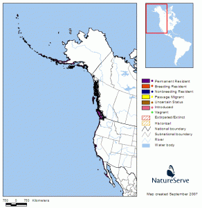 Black Oystercatcher Range Map