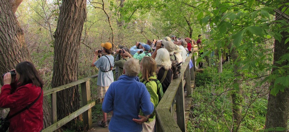 A Survey of U.S. Birders